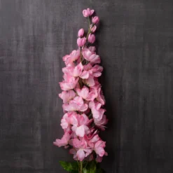 Best reviews of ✔️ 12 Pack: Pink Larkspur Stem by Ashland® ⌛ -Outlet Yuletide Joy Store MP626562 22