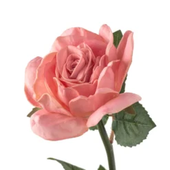 Discount ✔️ 6 Pack: Blush Rose Stem by Ashland® 😀 -Outlet Yuletide Joy Store MP626864 20