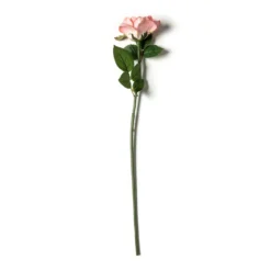 Discount ✔️ 6 Pack: Blush Rose Stem by Ashland® 😀 -Outlet Yuletide Joy Store MP626864 21