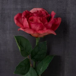 Best Sale ⌛ 6 Pack: Fuchsia Rose Stem by Ashland® ⌛ -Outlet Yuletide Joy Store MP626870 22