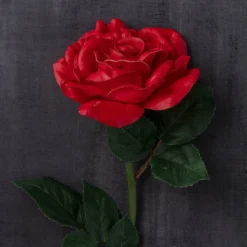 Outlet 🔥 6 Pack: Red Rose Stem by Ashland® ✨ 13 Outlet 🔥 6 Pack: Red Rose Stem by Ashland® ✨ -Outlet Yuletide Joy Store MP626872 22