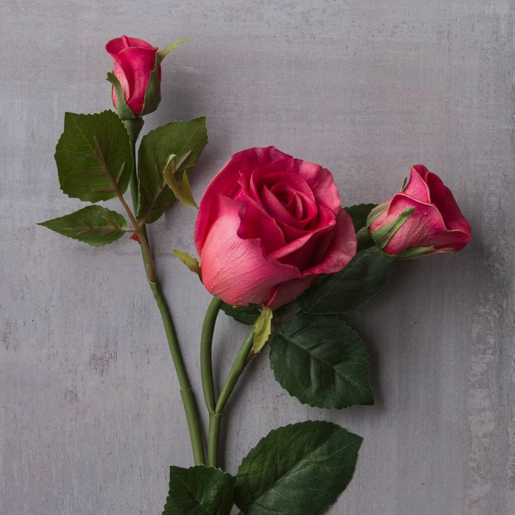 Best Sale ⌛ 6 Pack: Fuchsia Rose Spray by Ashland® ✨ 8 Best Sale ⌛ 6 Pack: Fuchsia Rose Spray by Ashland® ✨ - Image 6