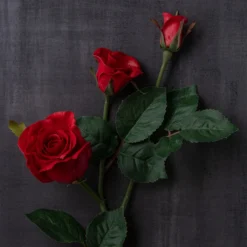 Deals 👍 6 Pack: Red Rose Spray by Ashland® ⌛ 13 Deals 👍 6 Pack: Red Rose Spray by Ashland® ⌛ -Outlet Yuletide Joy Store MP626884 25