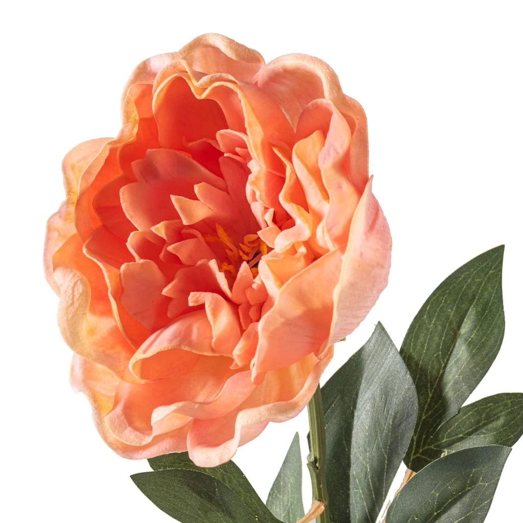 Brand new π 6 Pack: Blush Peony Stem by Ashland® π 8 Brand new π 6 Pack: Blush Peony Stem by Ashland® π - Image 6