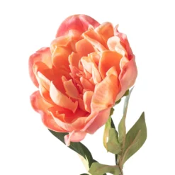 Best Sale ⭐ 6 Pack: Pink Peony Stem by Ashland® 🧨 -Outlet Yuletide Joy Store MP626888 20