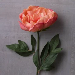 Best Sale ⭐ 6 Pack: Pink Peony Stem by Ashland® 🧨 -Outlet Yuletide Joy Store MP626888 22