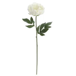 Promo 👏 12 Pack: White Peony Stem by Ashland® 🌟