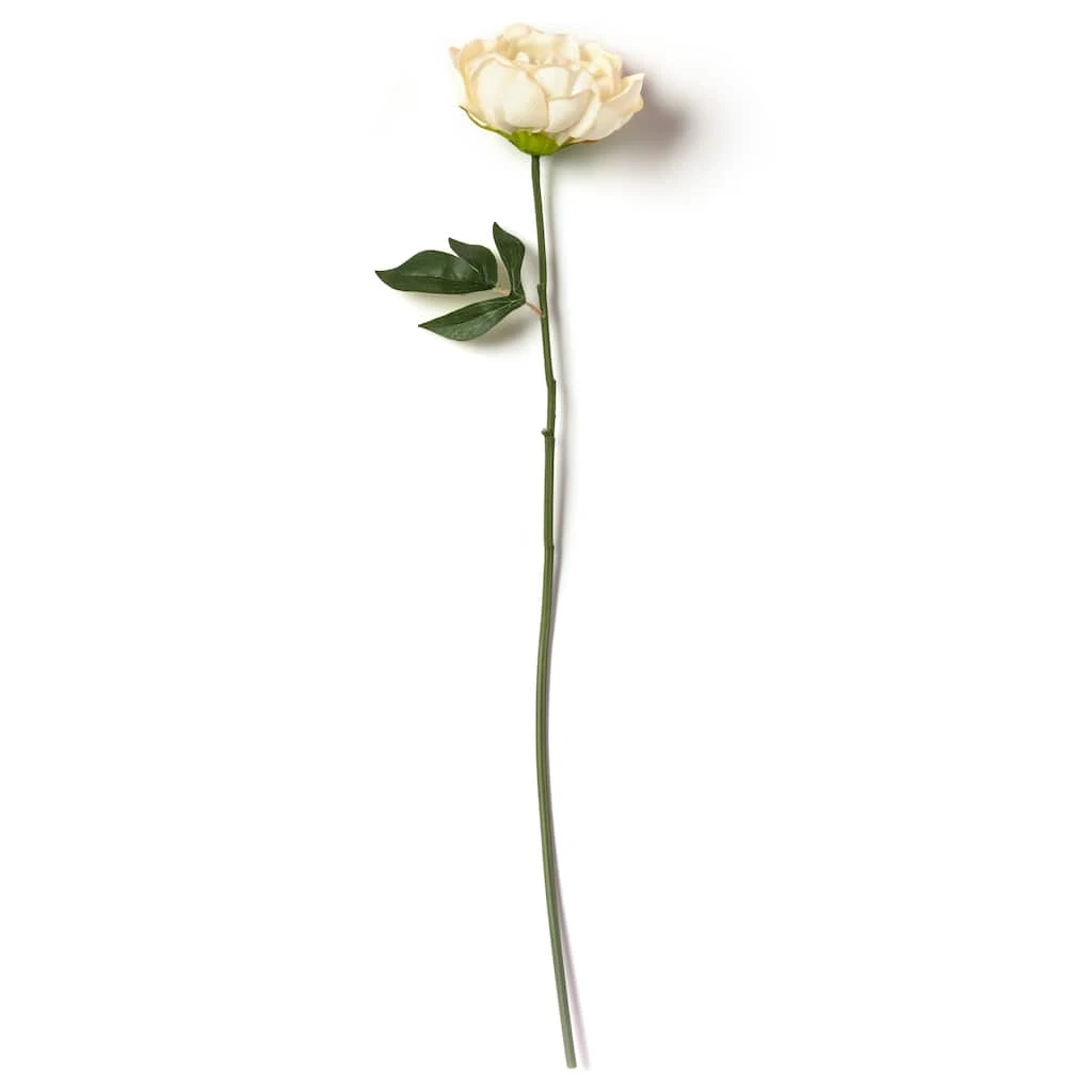Promo π 12 Pack: White Peony Stem by Ashland® π 7 Promo π 12 Pack: White Peony Stem by Ashland® π - Image 5