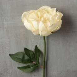 Promo π 12 Pack: White Peony Stem by Ashland® π 13 Promo π 12 Pack: White Peony Stem by Ashland® π -Outlet Yuletide Joy Store MP626894 25