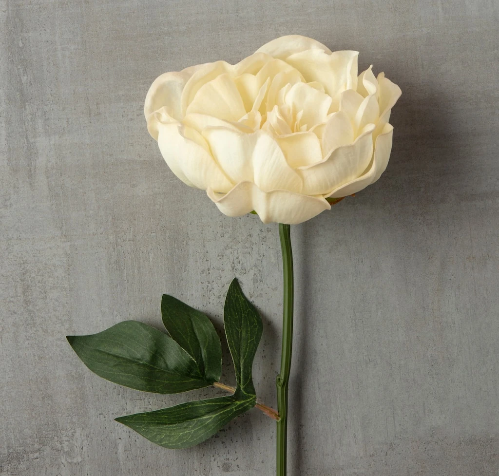 Promo π 12 Pack: White Peony Stem by Ashland® π 8 Promo π 12 Pack: White Peony Stem by Ashland® π - Image 6