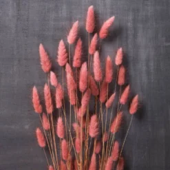 Discount 🥰 8 Pack: Assorted Lagurus Bundle by Ashland® ✨ 11 Discount 🥰 8 Pack: Assorted Lagurus Bundle by Ashland® ✨ -Outlet Yuletide Joy Store MP628609 22