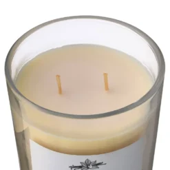 Best Sale 🌟 8 Pack: Vanilla Bean & Tonka 2-Wick Jar Candle by Ashland® ✔️ -Outlet Yuletide Joy Store MP638397 31