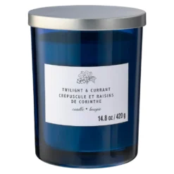 Wholesale 🎁 8 Pack: Twilight & Currant 2-Wick Jar Candle by Ashland® 🔥