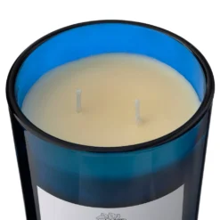 Wholesale 🎁 8 Pack: Twilight & Currant 2-Wick Jar Candle by Ashland® 🔥 -Outlet Yuletide Joy Store MP638398 31
