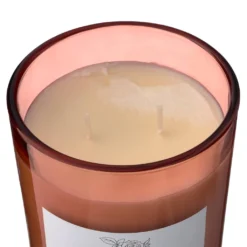 New ⭐ 8 Pack: Peony & Rose 2-Wick Jar Candle by Ashland® 👍 -Outlet Yuletide Joy Store MP638399 31