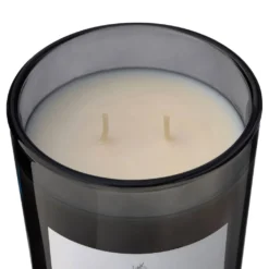 Wholesale ⭐ 8 Pack: Embers & Musk 2-Wick Jar Candle by Ashland® 💯 -Outlet Yuletide Joy Store MP638410 31