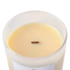 Best reviews of 🧨 8 Pack: Vanilla & Amber Wooden Wick Jar Candle by Ashland® ✔️ -Outlet Yuletide Joy Store MP638430 31