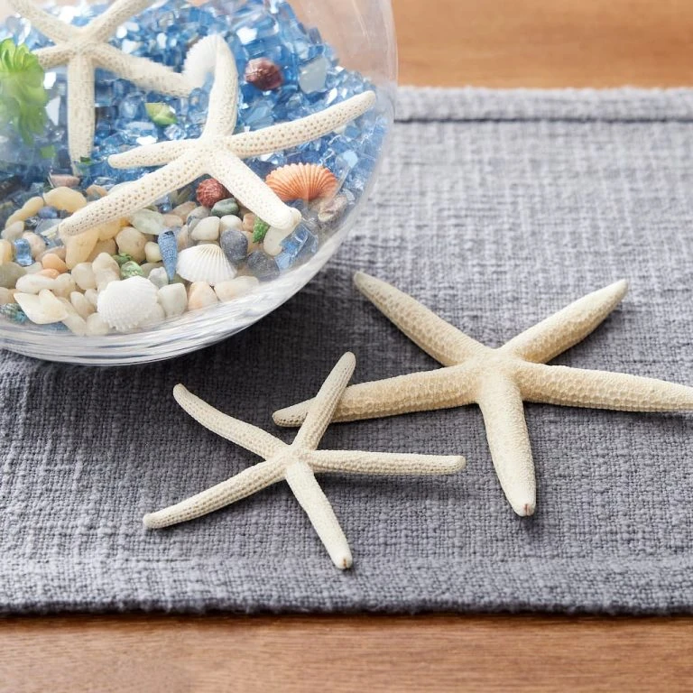 Outlet Yuletide Joy Store -Outlet Yuletide Joy Store 2